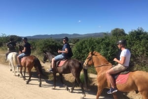 Madrid: Private Horseback Riding in Pedriza NP & Transport