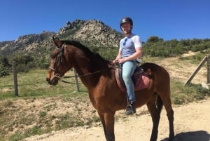 Madrid: Private Horseback Riding in Pedriza NP & Transport