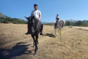 Madrid: Private Horseback Riding in Pedriza NP & Transport