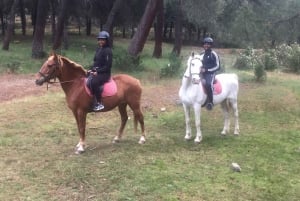 Madrid: Private Horseback Riding in Pedriza NP & Transport