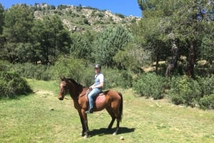 Madrid: Private Horseback Riding in Pedriza NP & Transport