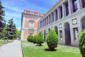 Madrid: tour privato del Prado e del Reina Sofía con drink in terrazza
