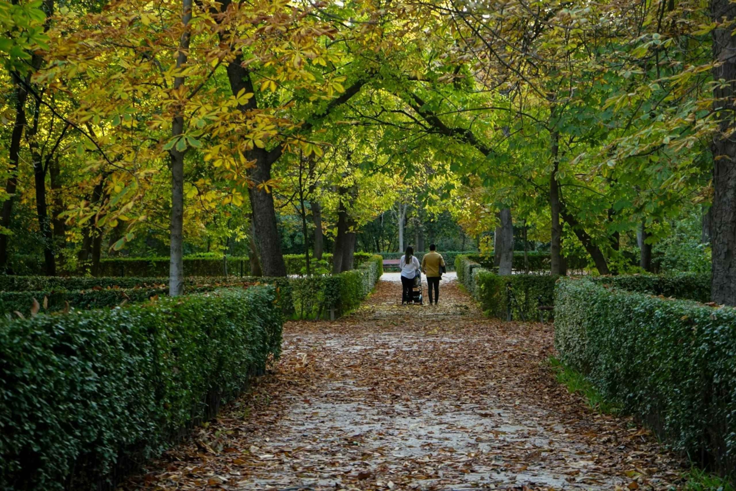 Madrid: Privat tur i Retiro-parken med lokal guide