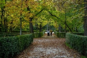 Madrid: Privat tur i Retiro-parken med lokal guide