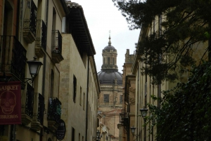 Madrid: Private Salamanca Day Trip with Ham Factory Visit