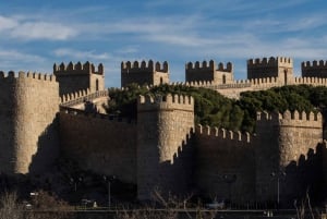 Madrid: Private Tour Avila & Salamanca