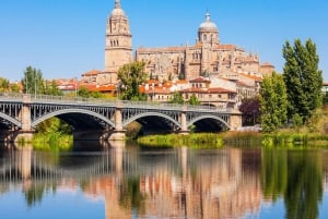 Madrid: Private Tour Avila & Salamanca