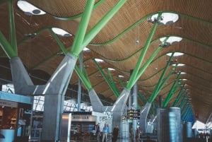 Madrid: Private Transfer to/from Madrid Barajas Airport