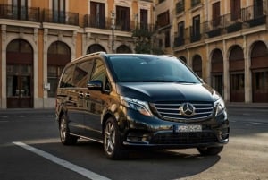 Madrid: Private Transfer to/from Madrid Barajas Airport