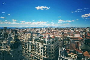 Madri: Traslado privado de/para o aeroporto de Madri Barajas