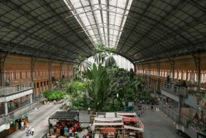 Madri: Traslado privado de/para o aeroporto de Madri Barajas