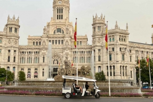 Madrid: City Highlights Private Tuk-Tuk Tour w/ Audio Guide