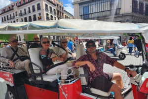 Madrid: Privat tur i Tuk Tuk 1 time