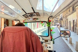 Madrid : visite privée en tuk-tuk - Points forts