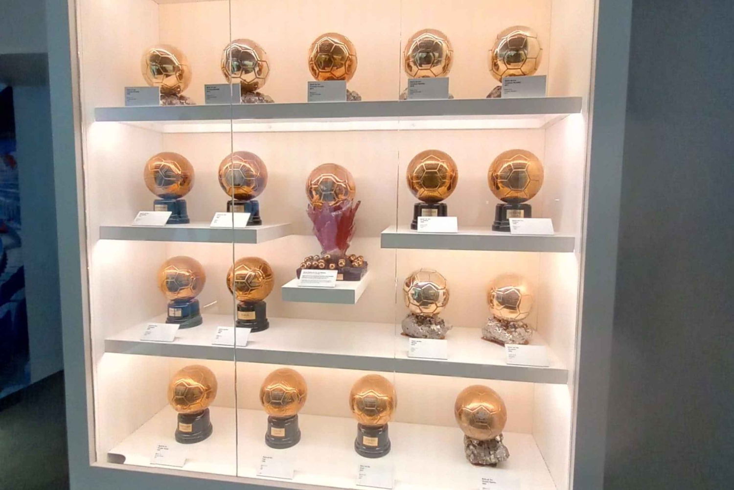 Madrid: visita VIP privada al estadio Bernabéu del Real Madrid