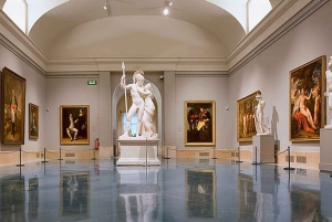 Prywatna wizyta w Madrycie: Muzeum Prado i Muzeum Królowej Zofii z odbiorem