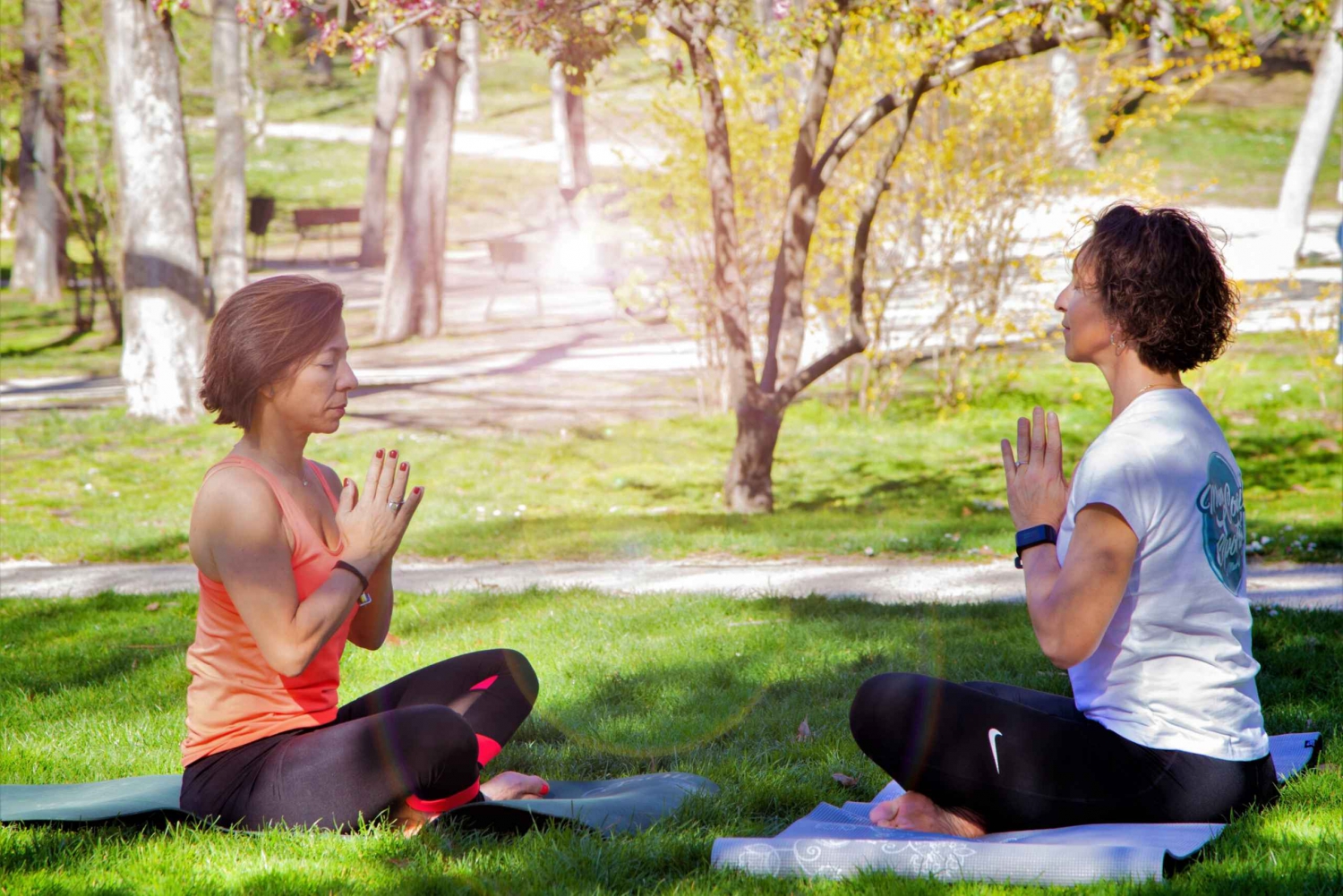 Madrid : Cours privé de yoga dans le parc Retiro