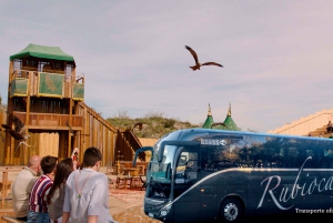 Madrid: Puy du Fou Round-Trip Transfer & Optional Ticket
