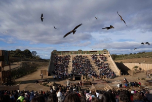 Madrid: Puy du Fou Round-Trip Transfer & Optional Ticket