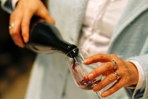 Madridin alueen viinitilat: Madridin viinitilat: Opastettu kierros ja maistiaiset