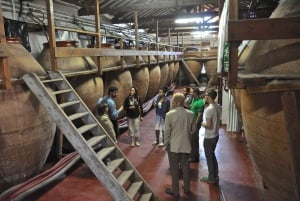 Madrid Region Wineries: Guided Tour and Tastings