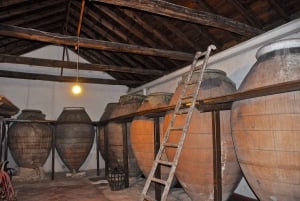 マドリード：マドリード地方のワイナリーガイド付きツアーとテイスティング