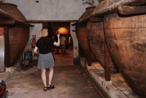 マドリード：マドリード地方のワイナリーガイド付きツアーとテイスティング