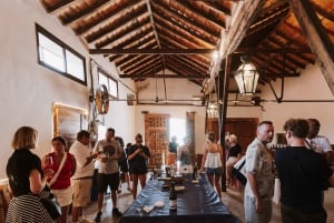 マドリード：マドリード地方のワイナリーガイド付きツアーとテイスティング