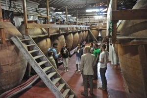 マドリード：マドリード地方のワイナリーガイド付きツアーとテイスティング