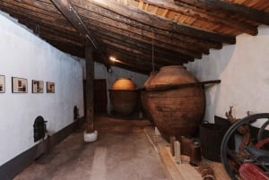 マドリード：マドリード地方のワイナリーガイド付きツアーとテイスティング