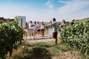 マドリード：マドリード地方のワイナリーガイド付きツアーとテイスティング