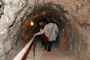 マドリード：マドリード地方のワイナリーガイド付きツアーとテイスティング