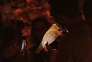 マドリード：マドリード地方のワイナリーガイド付きツアーとテイスティング