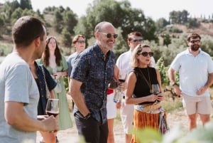 マドリード：マドリード地方のワイナリーガイド付きツアーとテイスティング