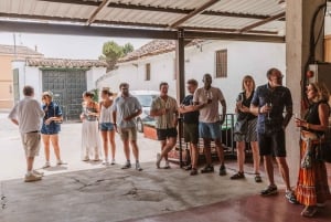 マドリード：マドリード地方のワイナリーガイド付きツアーとテイスティング