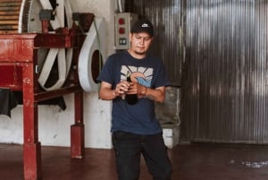 マドリード：マドリード地方のワイナリーガイド付きツアーとテイスティング