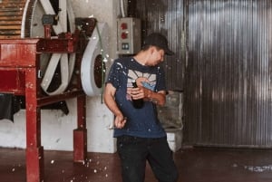 マドリード：マドリード地方のワイナリーガイド付きツアーとテイスティング