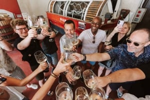 マドリード：マドリード地方のワイナリーガイド付きツアーとテイスティング