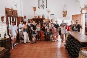 マドリード：マドリード地方のワイナリーガイド付きツアーとテイスティング