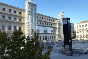 Madrid: Reina Sofia Private Guided Tour with Expert Guide