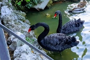 Madrid: Retiro Park Guided Tour with a Photographer