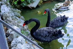 Madrid: Führung durch den Retiro Park mit einem Fotografen
