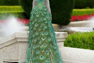 マドリード：レティーロ公園ガイド付き散策ツアーとグルメタパス