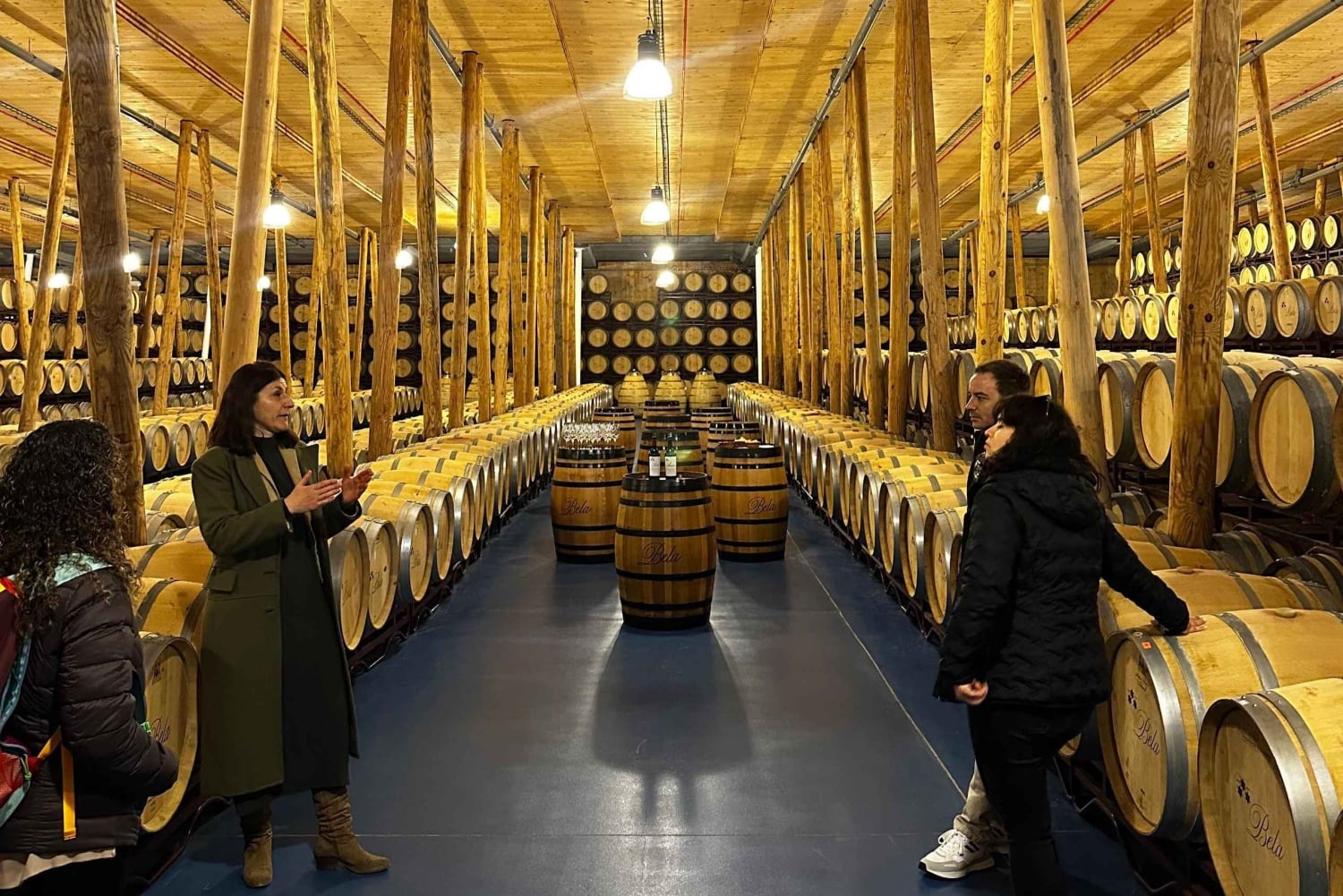 Madrid: Ribera del Duero Wine Tour with Tastings and Lunch