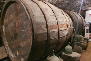 Madrid: Ribera del Duero-vintur med smagninger og frokost