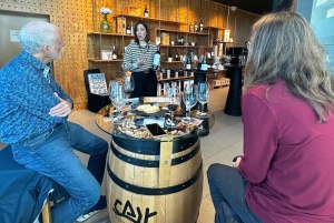 Madrid: Ribera del Duero Wine Tour with Tastings and Lunch