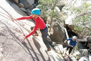 Madrid: Rock Climbing in Pedriza National Park & Transport