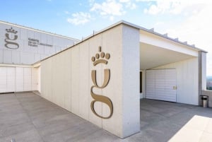 Madrid: toegangsticket voor de Koninklijke Collectiesgalerij