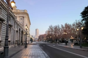 Madrid: Kongepaladset Privat tur med billetter