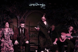 Madrid: Königspalast-Tour, Flamenco-Show und Tapas mit Getränk